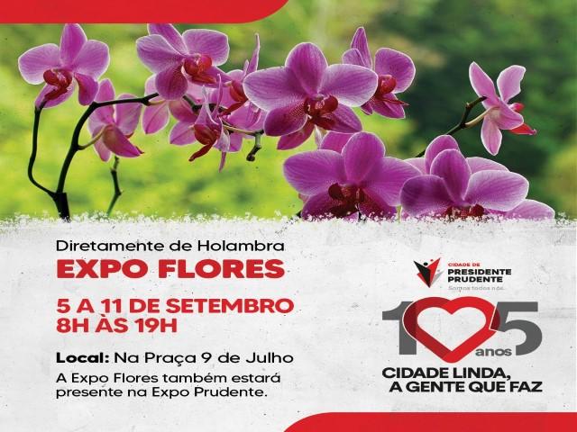 PP recebe Expo Flores de Holambra com cerca de 200 espécies e preços a partir de R$ 5 - Sassom foto